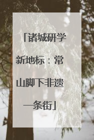 诸城研学新地标：常山脚下非遗一条街