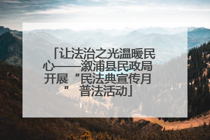 让法治之光温暖民心——溆浦县民政局开展“民法典宣传月” 普法活动