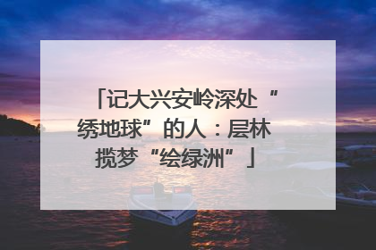 记大兴安岭深处“绣地球”的人：层林揽梦“绘绿洲”