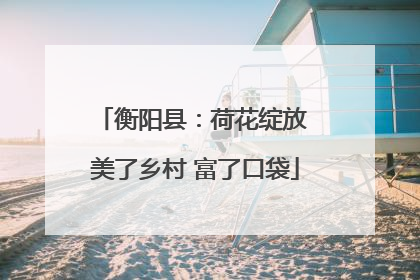 衡阳县：荷花绽放 美了乡村 富了口袋