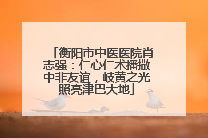 衡阳市中医医院肖志强：仁心仁术播撒中非友谊，岐黄之光照亮津巴大地