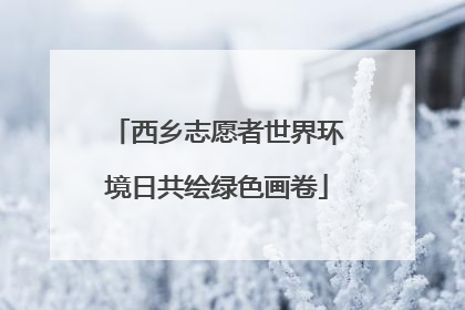 西乡志愿者世界环境日共绘绿色画卷