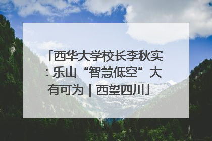 西华大学校长李秋实：乐山“智慧低空”大有可为｜西望四川