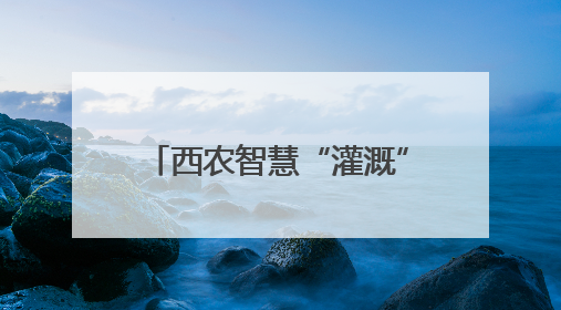 西农智慧“灌溉” 沙漠樱桃别样红