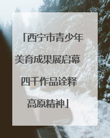 西宁市青少年美育成果展启幕 四千作品诠释高原精神