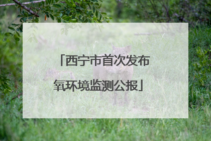 西宁市首次发布氧环境监测公报