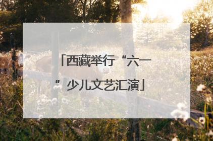 西藏举行“六一”少儿文艺汇演