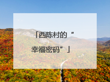 西陈村的“幸福密码”