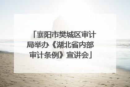 襄阳市樊城区审计局举办《湖北省内部审计条例》宣讲会