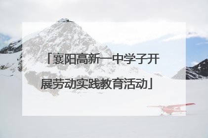 襄阳高新一中学子开展劳动实践教育活动