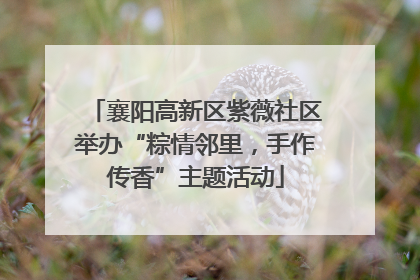 襄阳高新区紫薇社区举办“粽情邻里，手作传香”主题活动