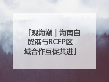 观海潮｜海南自贸港与RCEP区域合作互促共进