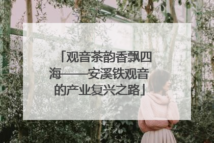 观音茶韵香飘四海——安溪铁观音的产业复兴之路
