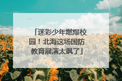 迷彩少年燃爆校园！北海这场国防教育展演太飒了