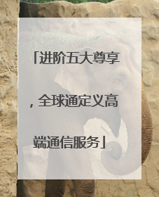 进阶五大尊享，全球通定义高端通信服务