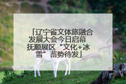 辽宁省文体旅融合发展大会今日启幕 抚顺展区“文化+冰雪”蓄势待发