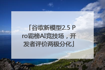 谷歌新模型2.5 Pro霸榜AI竞技场，开发者评价两极分化
