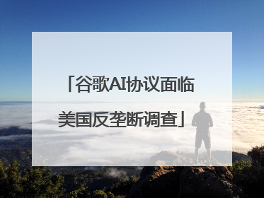谷歌AI协议面临美国反垄断调查