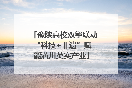 豫陕高校双擎联动 “科技+非遗”赋能潢川芡实产业
