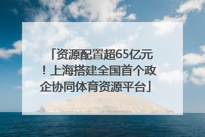 资源配置超65亿元！上海搭建全国首个政企协同体育资源平台