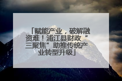 赋能产业，破解融资难！浦江县财政“三聚焦”助推传统产业转型升级
