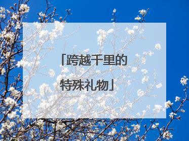 跨越千里的特殊礼物