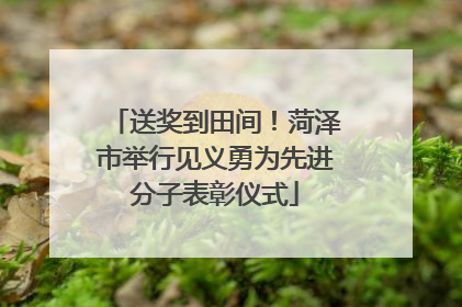 送奖到田间！菏泽市举行见义勇为先进分子表彰仪式