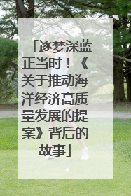 逐梦深蓝正当时！《关于推动海洋经济高质量发展的提案》背后的故事