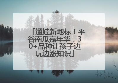 遛娃新地标！平谷南瓜嘉年华，30+品种让孩子边玩边涨知识