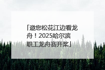 邀您松花江边看龙舟！2025哈尔滨职工龙舟赛开桨