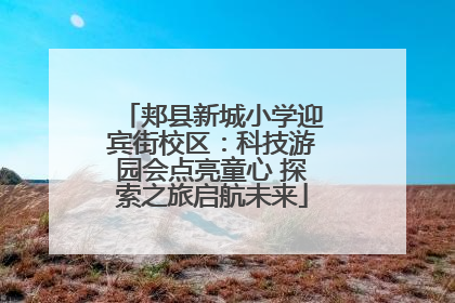 郏县新城小学迎宾街校区：科技游园会点亮童心 探索之旅启航未来