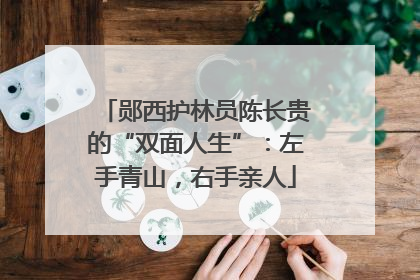 郧西护林员陈长贵的“双面人生”：左手青山，右手亲人