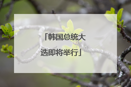 韩国总统大选即将举行