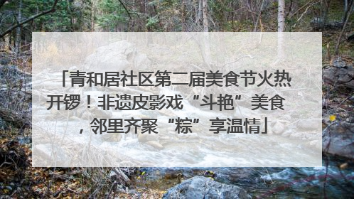 青和居社区第二届美食节火热开锣！非遗皮影戏“斗艳”美食，邻里齐聚“粽”享温情