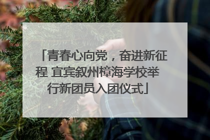 青春心向党，奋进新征程 宜宾叙州樟海学校举行新团员入团仪式