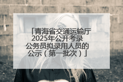 青海省交通运输厅2025年公开考录公务员拟录用人员的公示（第一批次）