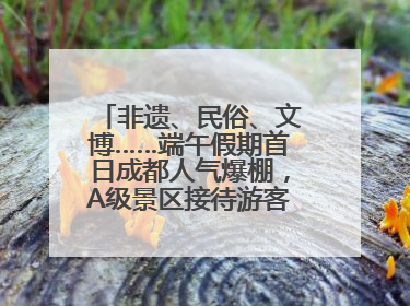 非遗、民俗、文博……端午假期首日成都人气爆棚，A级景区接待游客超113万人次