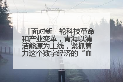面对新一轮科技革命和产业变革，青海以清洁能源为主线，紧抓算力这个数字经济的“血液”、科技主权的“筹码”、产业升级的“杠杆”、绿色转型的“支点”，勇于撬动国家“双碳”战略、“东数西算”工程重大发展新机遇