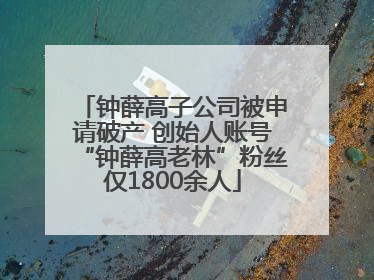 钟薛高子公司被申请破产 创始人账号“钟薛高老林”粉丝仅1800余人