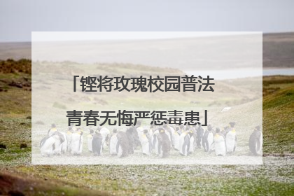 铿将玫瑰校园普法 青春无悔严惩毒患