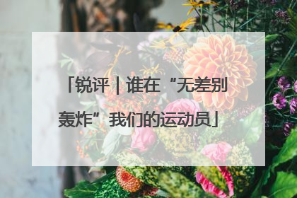 锐评｜谁在“无差别轰炸”我们的运动员