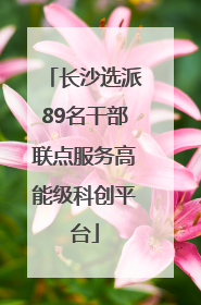 长沙选派89名干部联点服务高能级科创平台