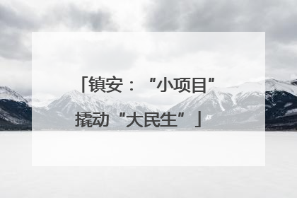 镇安：“小项目”撬动“大民生”