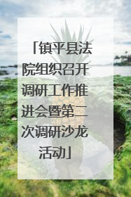 镇平县法院组织召开调研工作推进会暨第二次调研沙龙活动
