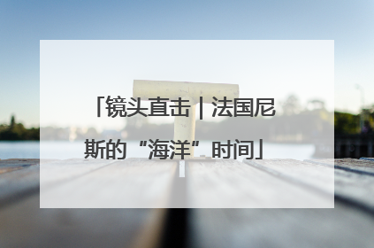 镜头直击｜法国尼斯的“海洋”时间