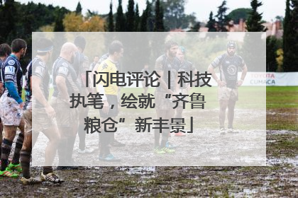闪电评论｜科技执笔，绘就“齐鲁粮仓”新丰景