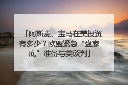 阿斯麦、宝马在美投资有多少？欧盟紧急“盘家底”准备与美谈判
