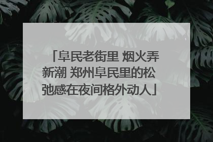 阜民老街里 烟火弄新潮 郑州阜民里的松弛感在夜间格外动人