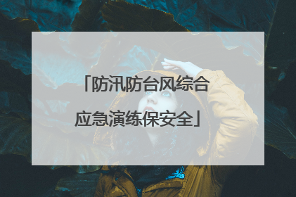防汛防台风综合应急演练保安全