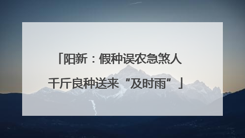 阳新：假种误农急煞人 千斤良种送来“及时雨”